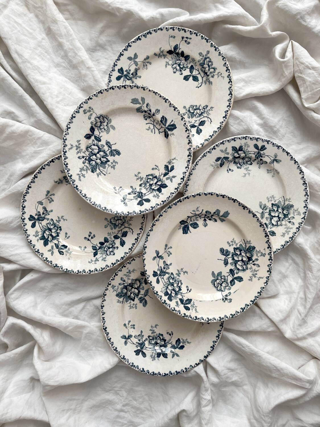 6 assiettes plates en terre de fer « Acacia » Moulin des Loups et Hamage