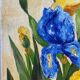 Blue and yellow irises, signed