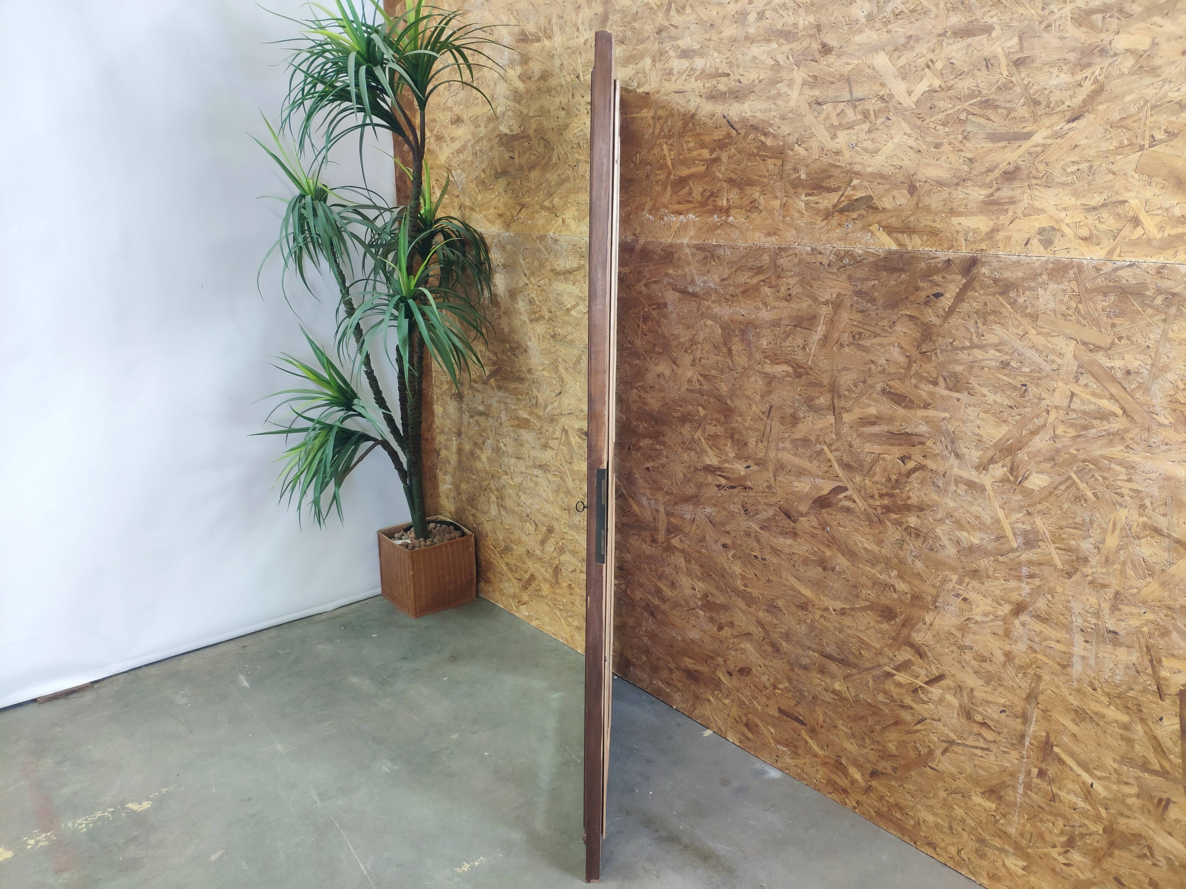 Miroir biseauté d'armoire ancienne - 162x83cm