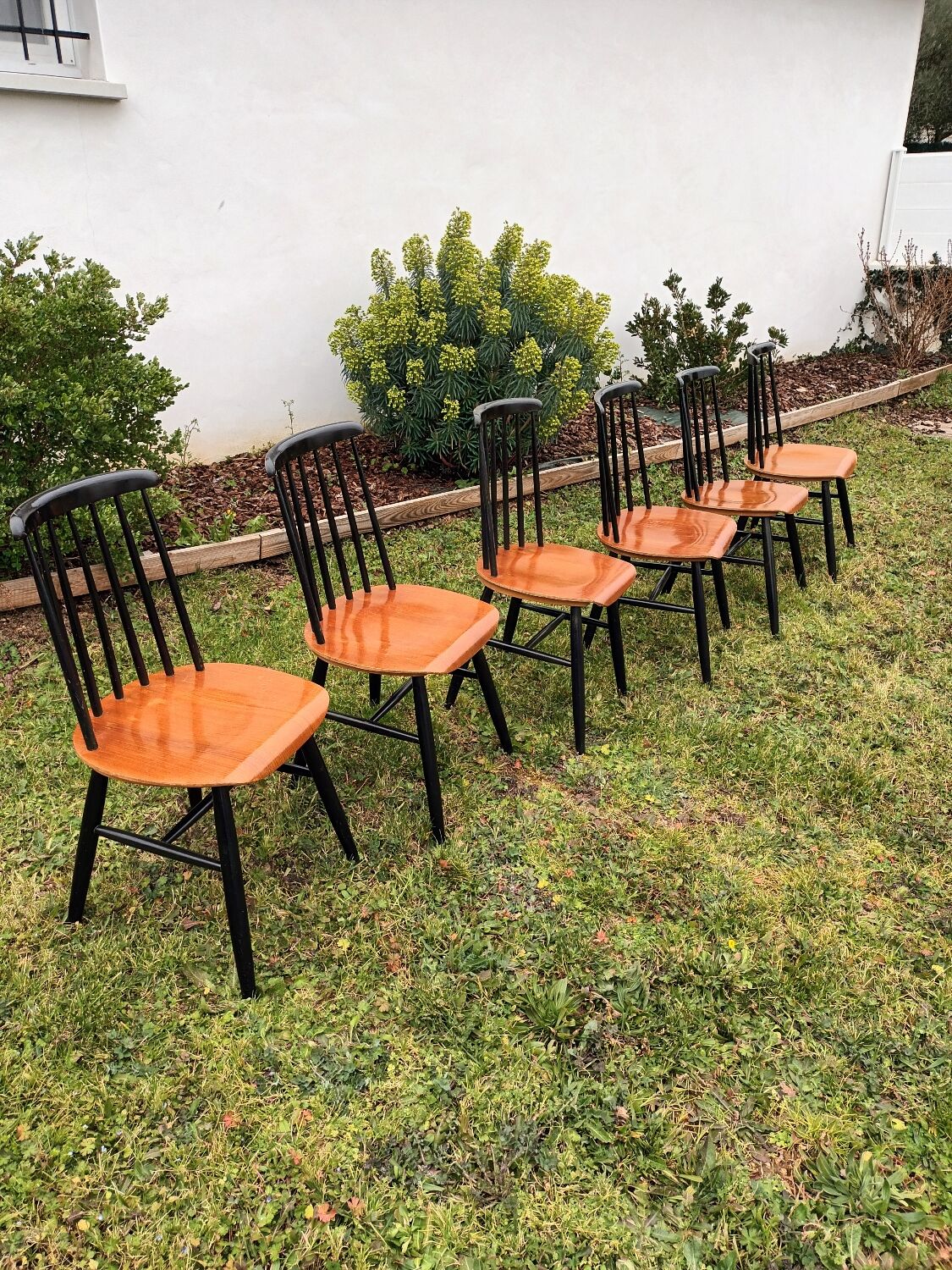 Fanett Chairs by Ilmari Tapiovaara