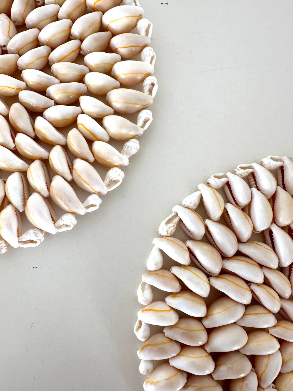 Pair of shell trivets