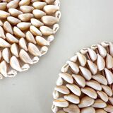 Pair of shell trivets