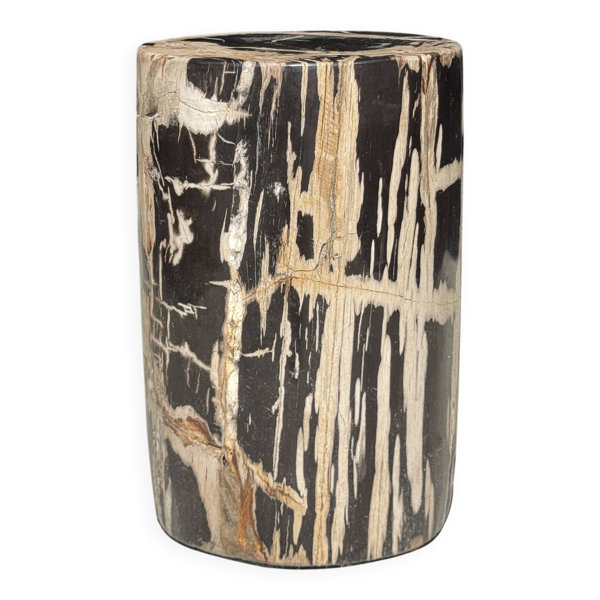 Petite table d'appoint en bois pétrifié cœur noir écorce stries noires et b