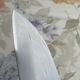 Knife kitchen