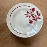 Badonvillier deep plates