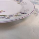 6 Assiettes en porcelaine fleurs