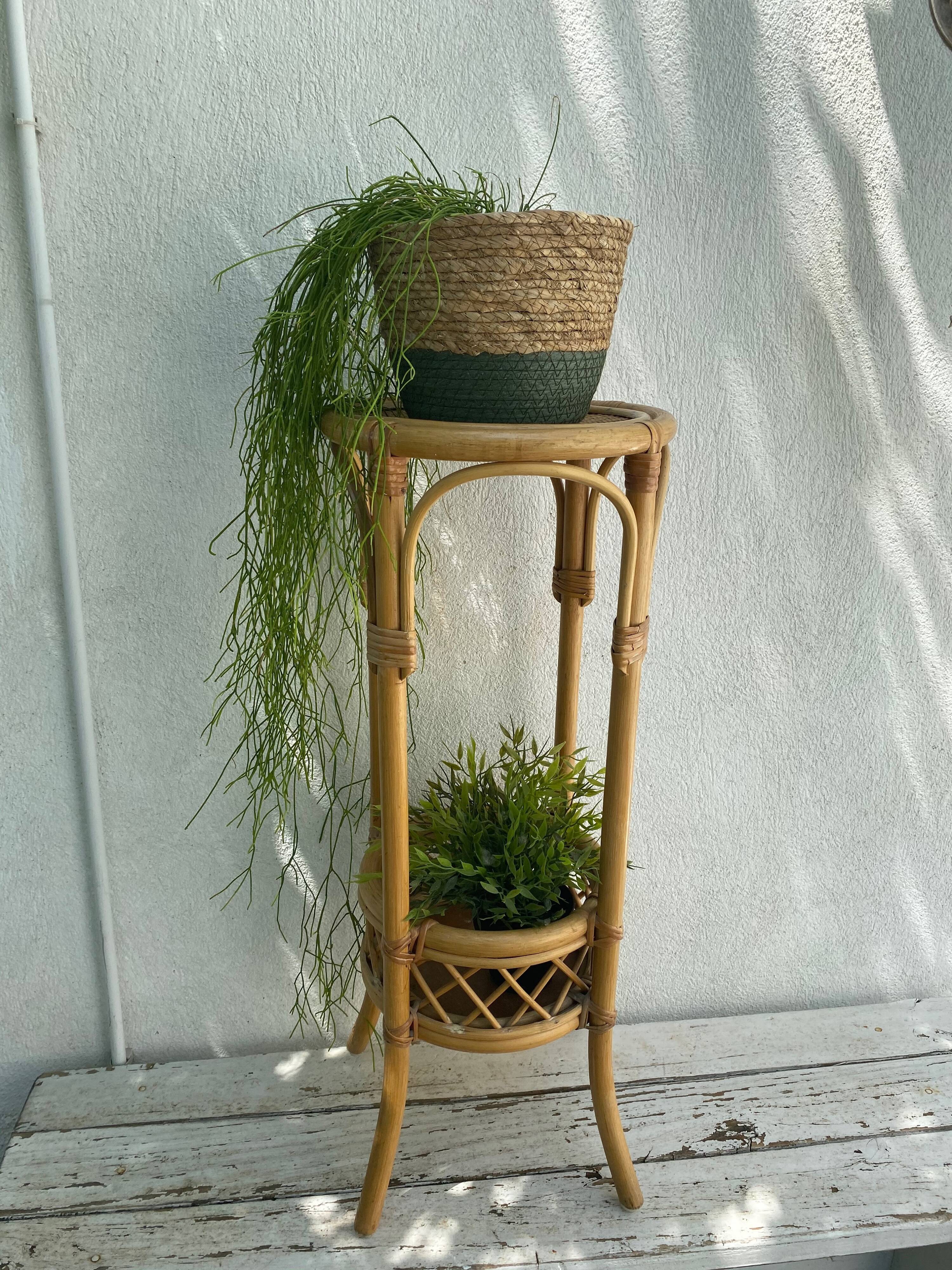 Rattan plant holder