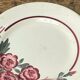 Two Digoin Sarreguemines dessert plates
