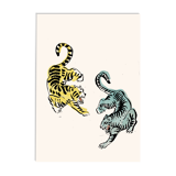 Tigres