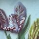 Fixed painting under glass signed H.Garnier