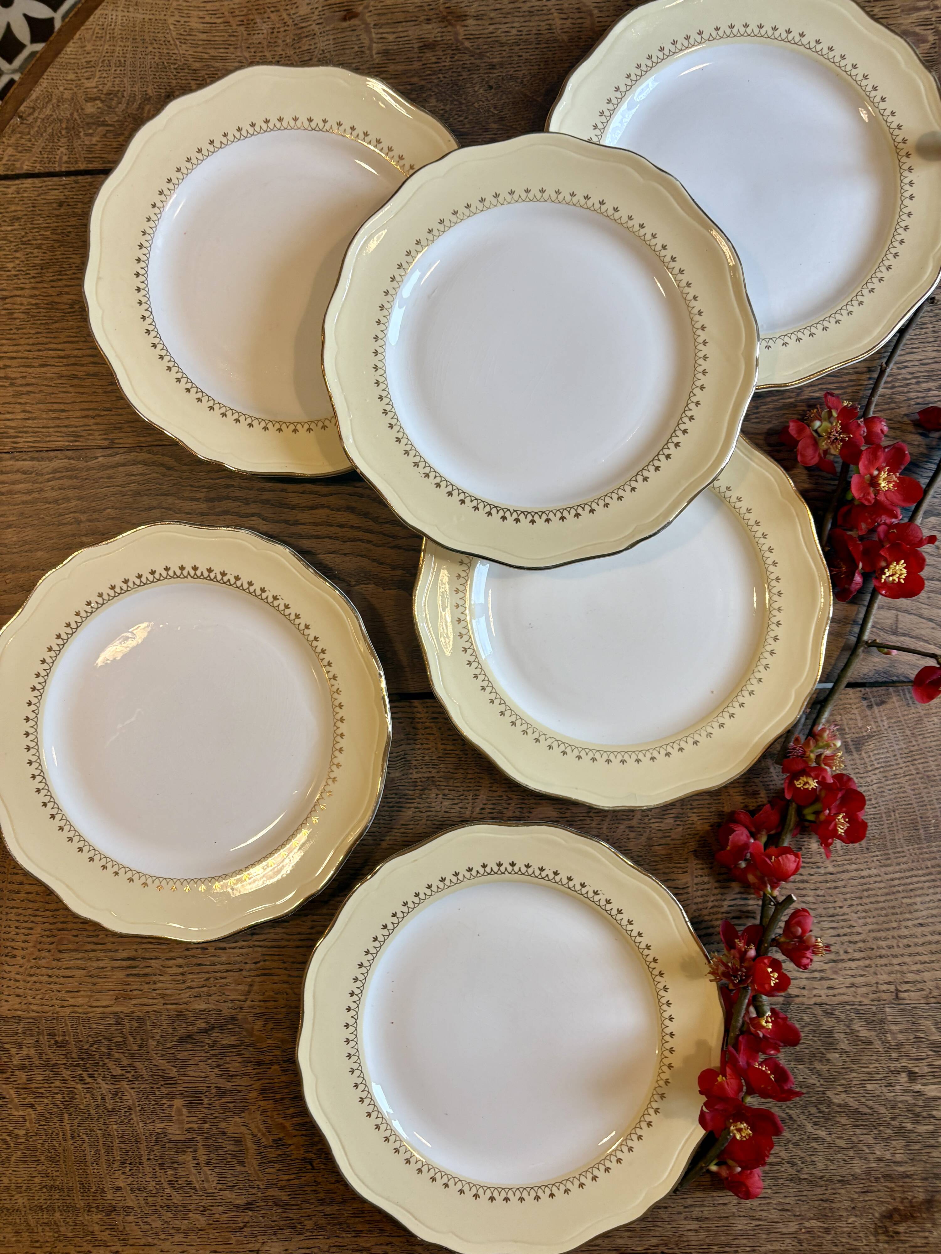 Set of 6 vintage white dinner plates with yellow and gold trim.