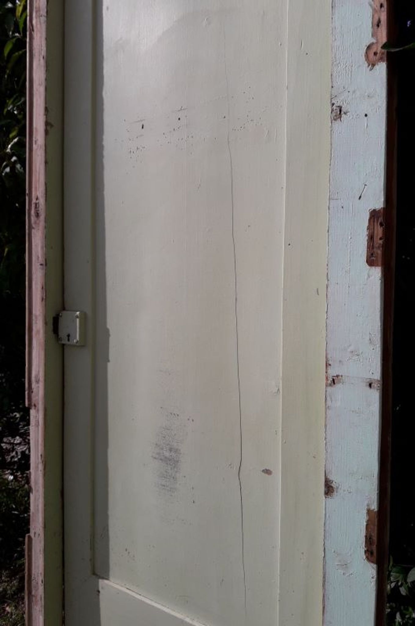 Porte 67.2x237.2cm de placard et son cadre