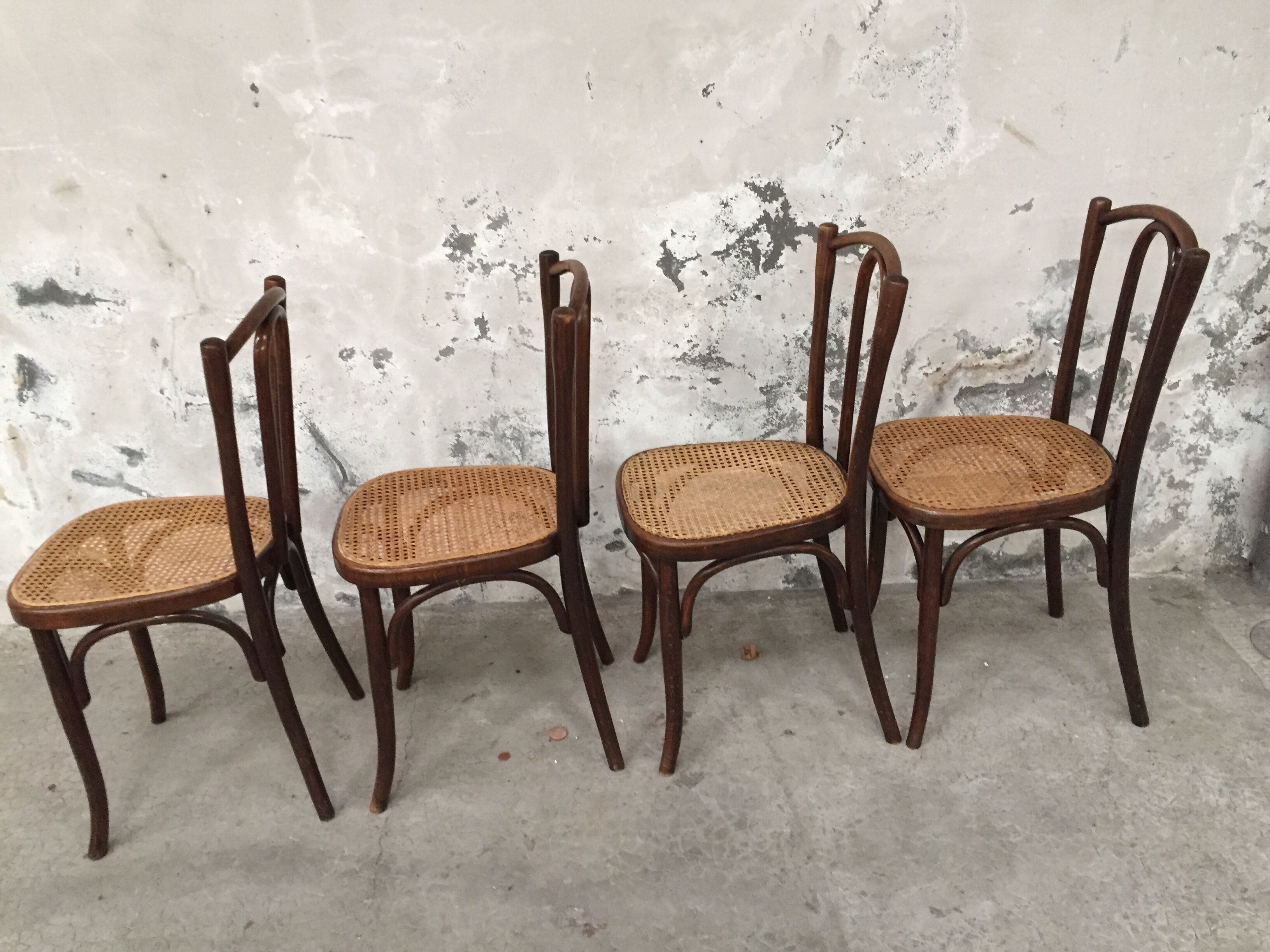 Series 4 chairs Bistro wood curved Fischel