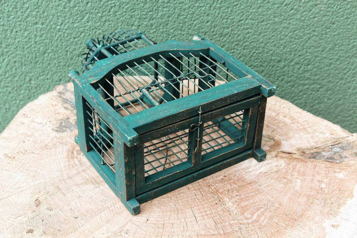 Old bird cage