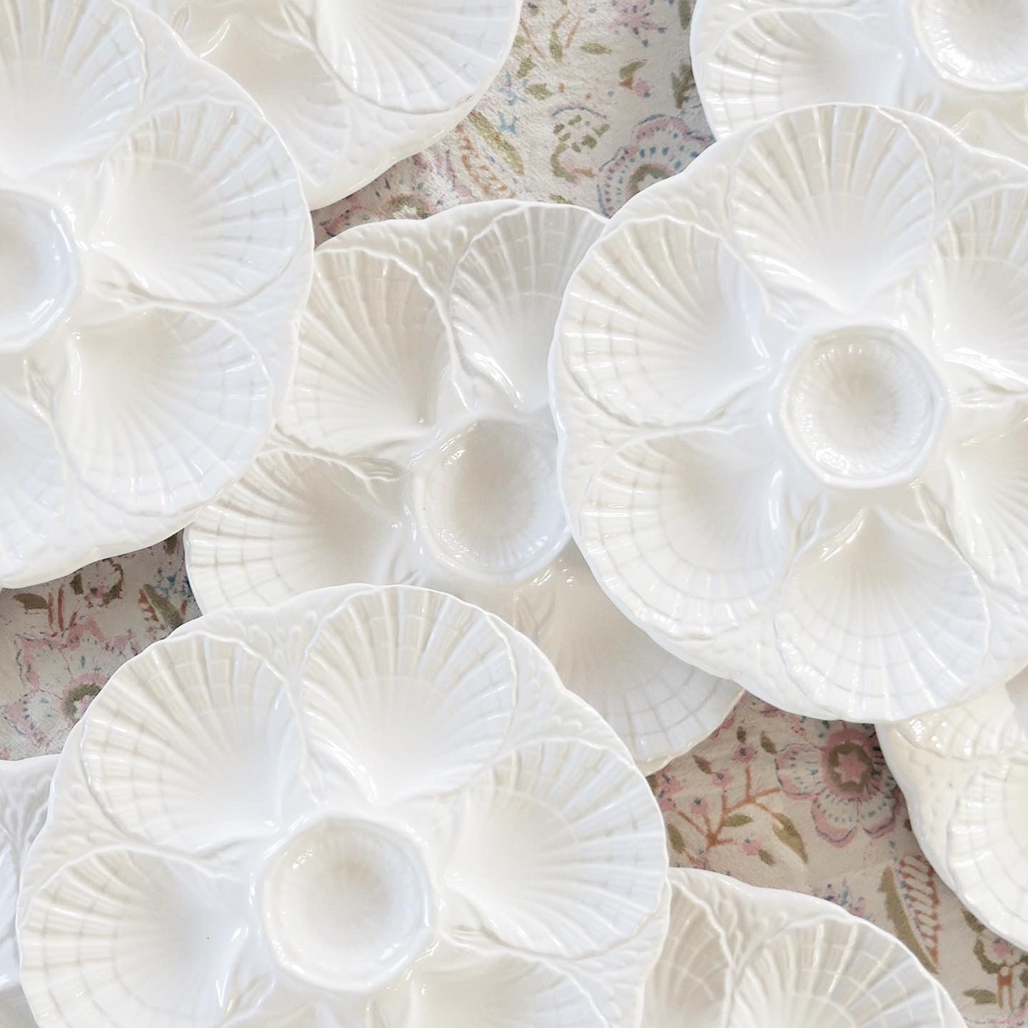 Lot de 6 assiettes à huîtres