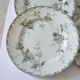 Lot of 6 plates flat "land of iron" model "rosette" st amand