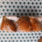 Terrine Caugant