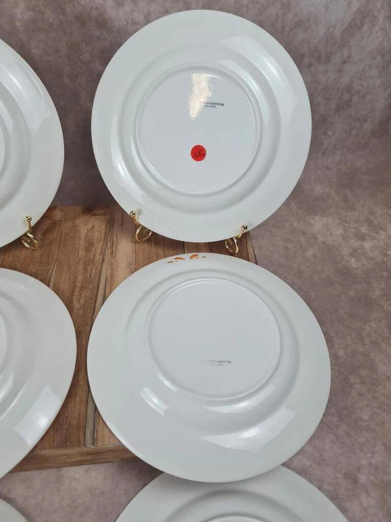 Set of 6 semi-deep plates Sarreguemines