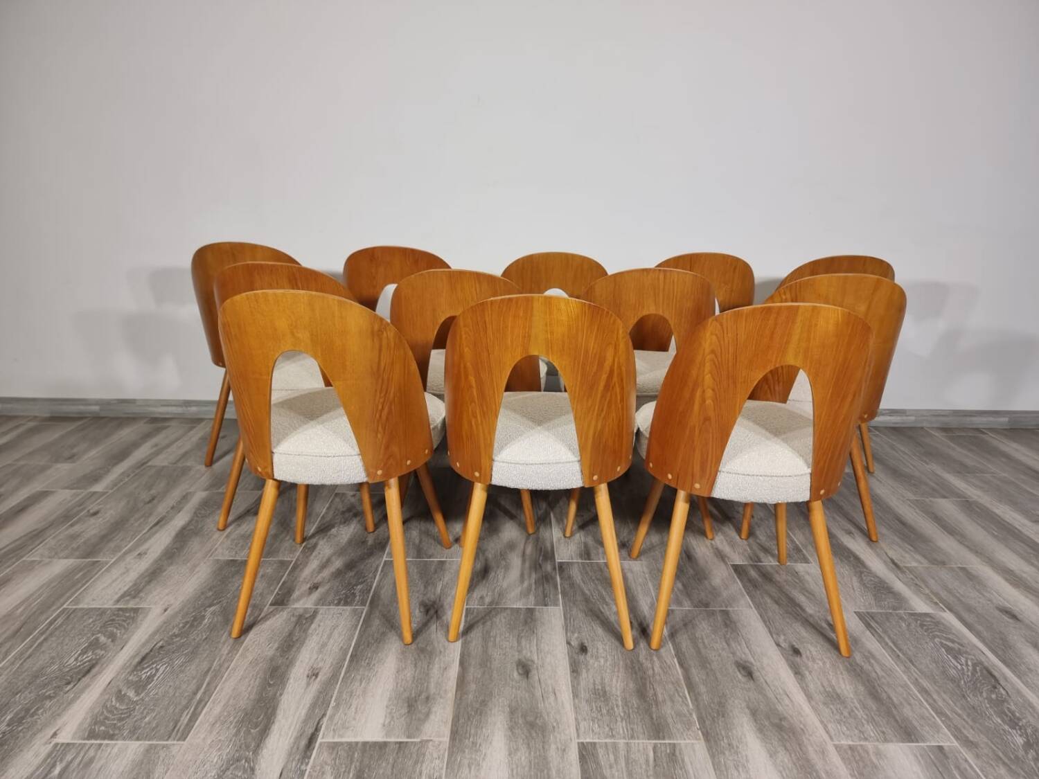 Dining Chairs from Antonin Suman, 1960s, Set of 12