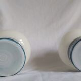 Pair of duck blue and white opaline lamps