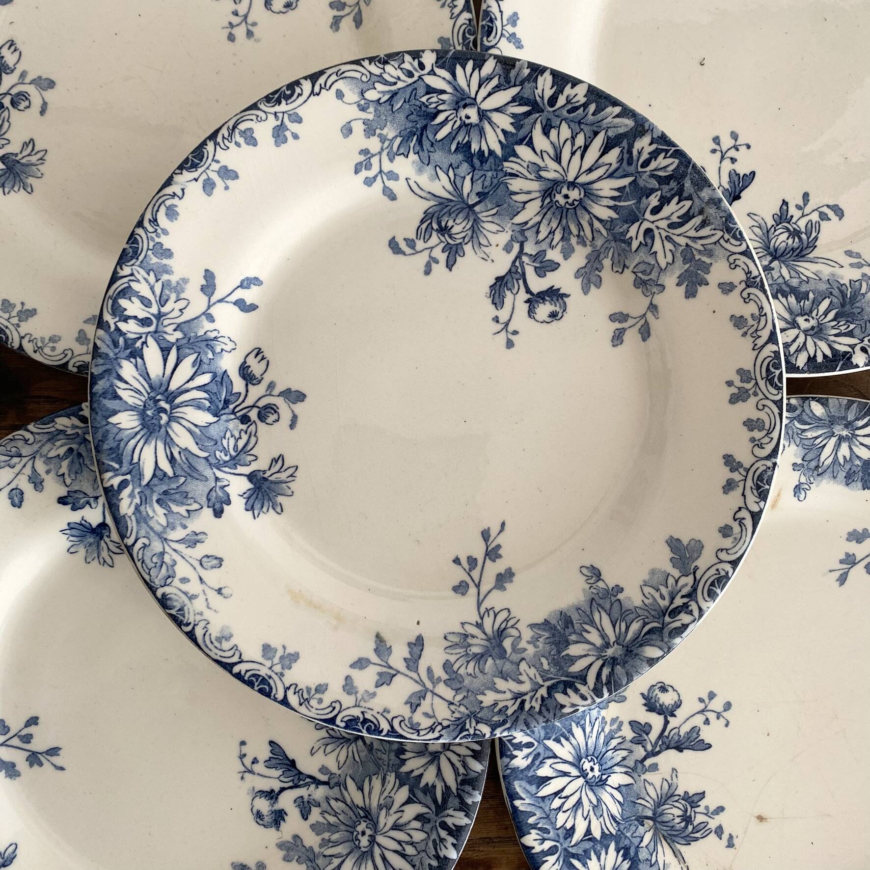 6 assiettes plates en terre de fer Gien "fleur d'automne"