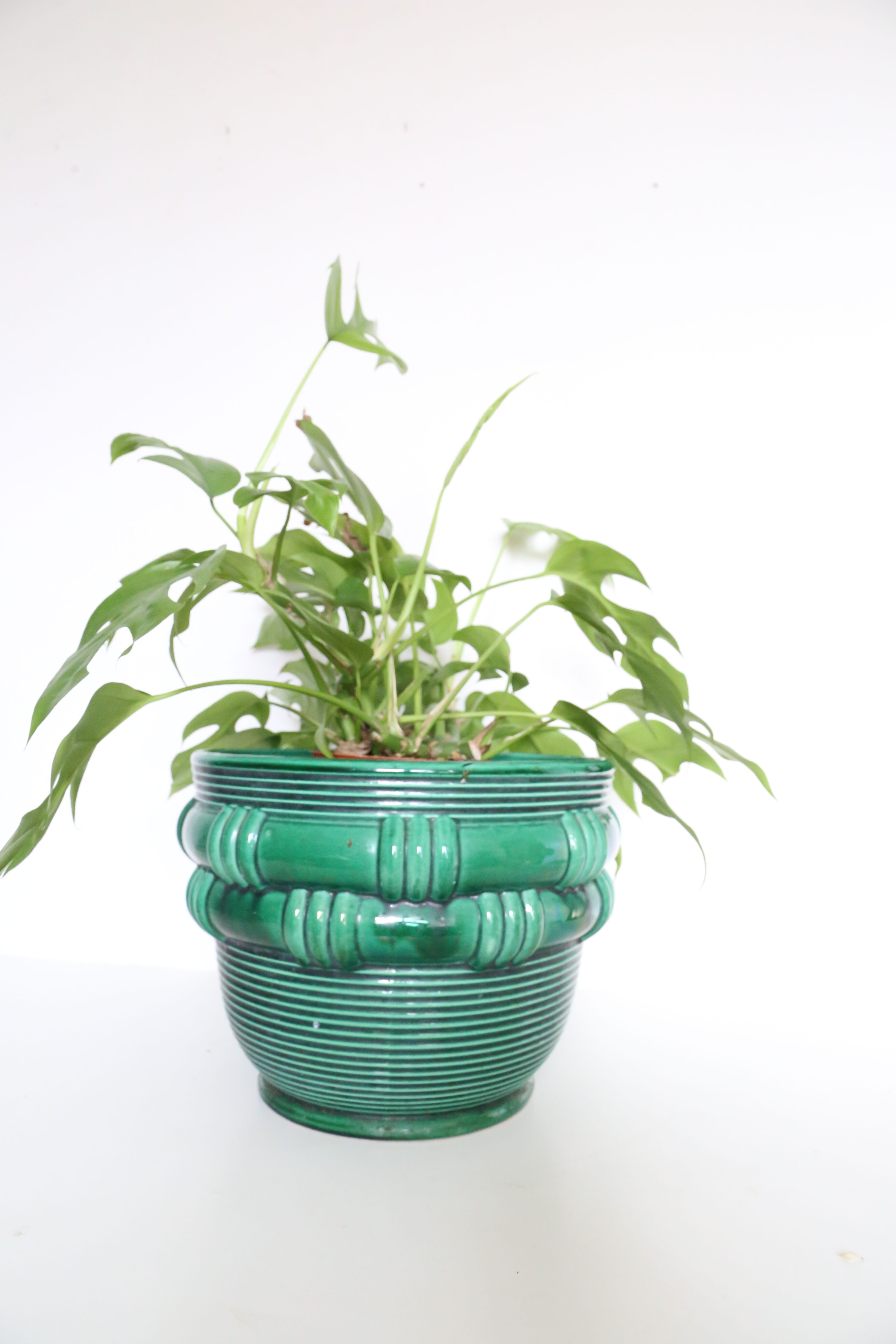 Large pot cache Saint Clément