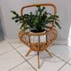 Vintage rattan plant holder 1960s