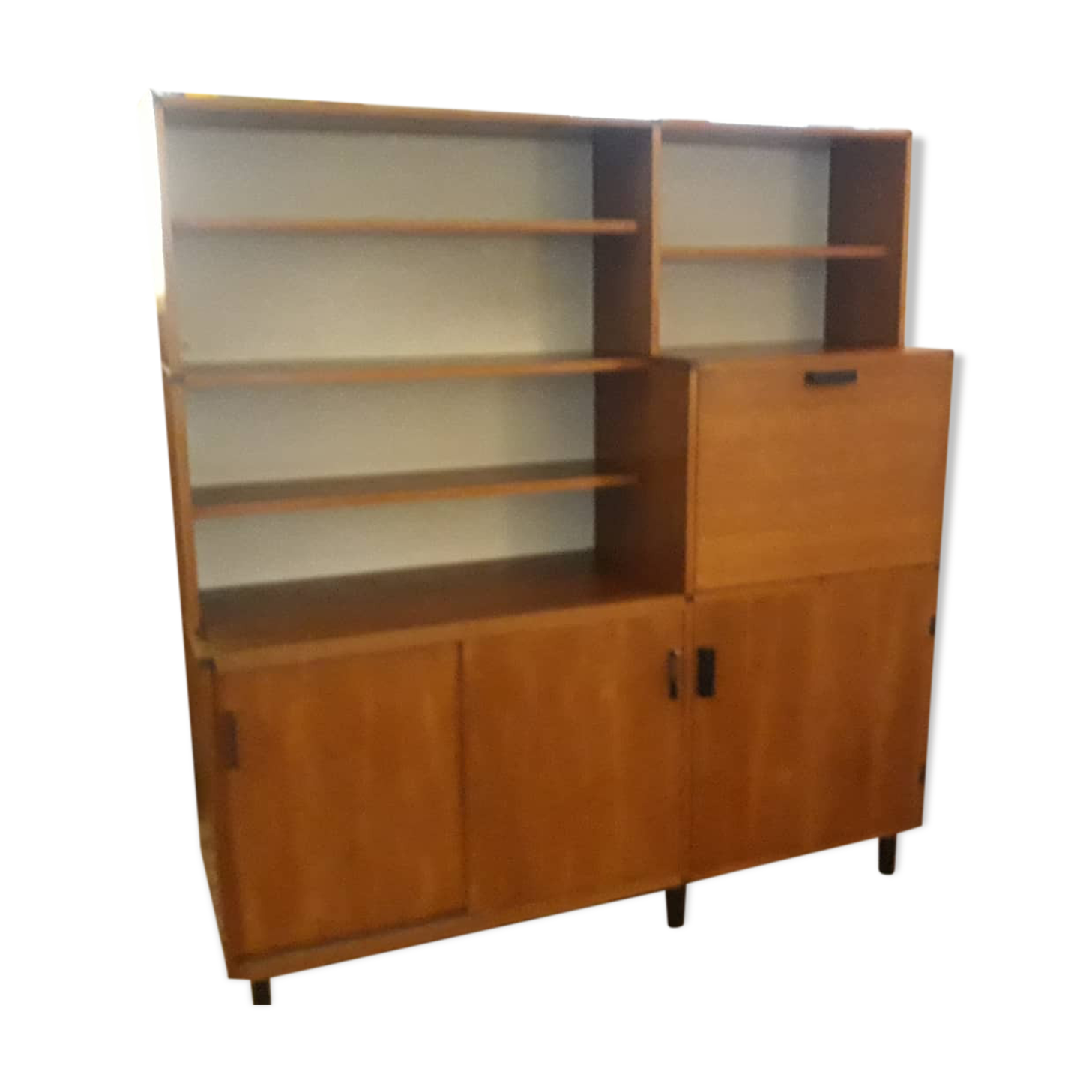 Library of Cees Braakman for Pastoe