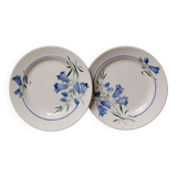 Lot de 2 assiettes vintage motif fleurs bleues campanules estampillée drapeau style Sarreguemines
