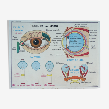 Ancienne affiche scolaire MDI, oeil-vision & oreille-nez