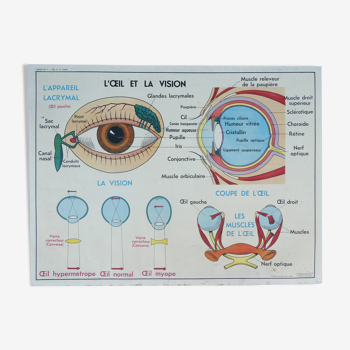 Old MDI school poster, eye-vision & ear-nose