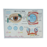 Old MDI school poster, eye-vision & ear-nose