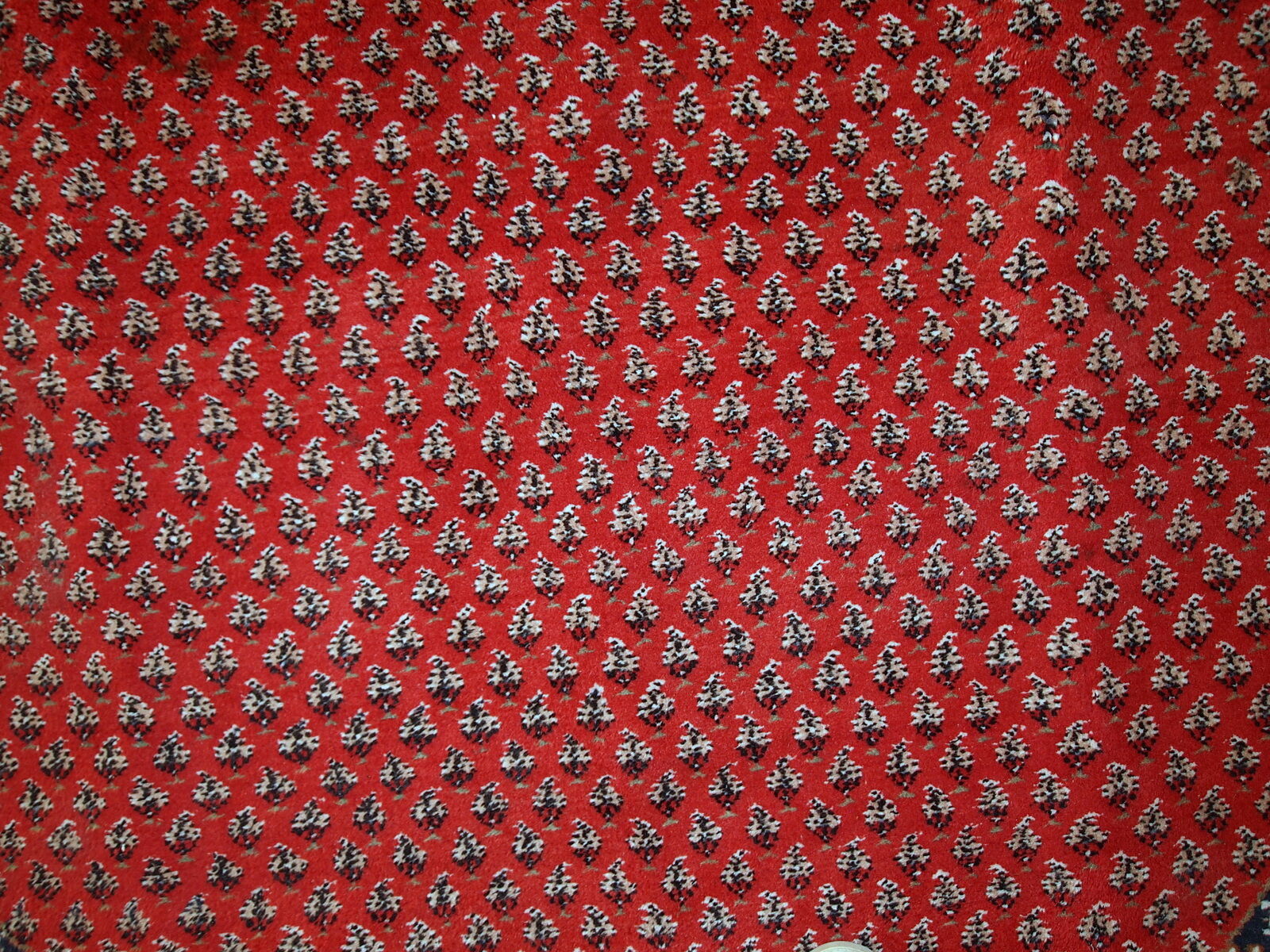 Carpet indo seraband done hand 198x298cm 1980