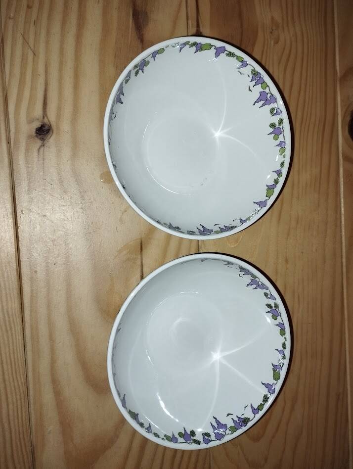 Pair of Villeroy & Boch bowls – Floral decoration – Perfect condition