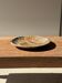 Ashtray, circular dish or plate in grey-orange petrified wood D25.5