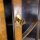Antique display case/corner cabinet - Baroque style - walnut - glass door with bars - circa 1900