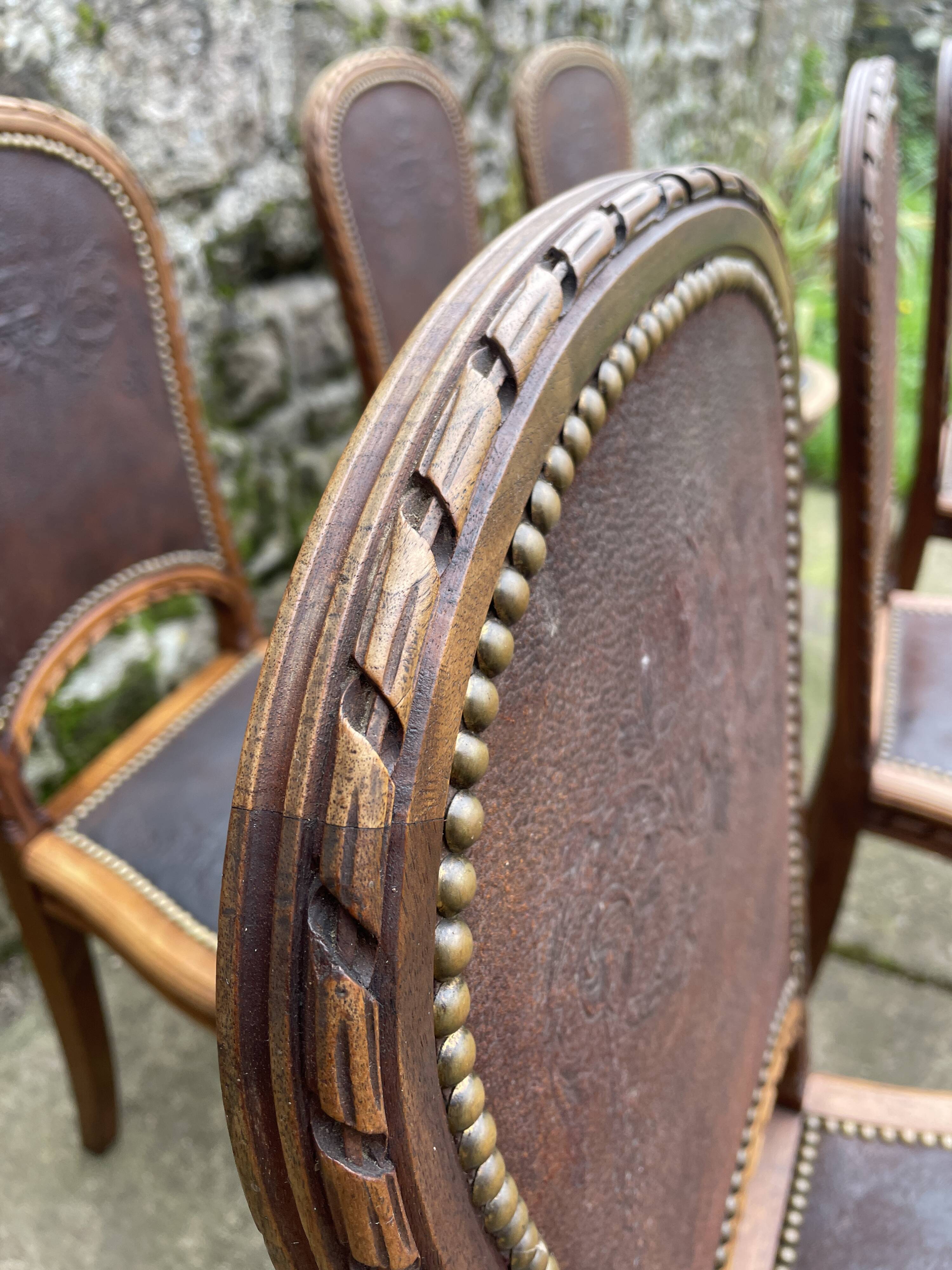 6 Louis XVI style chairs in solid beech and Cordovan leather, 1900