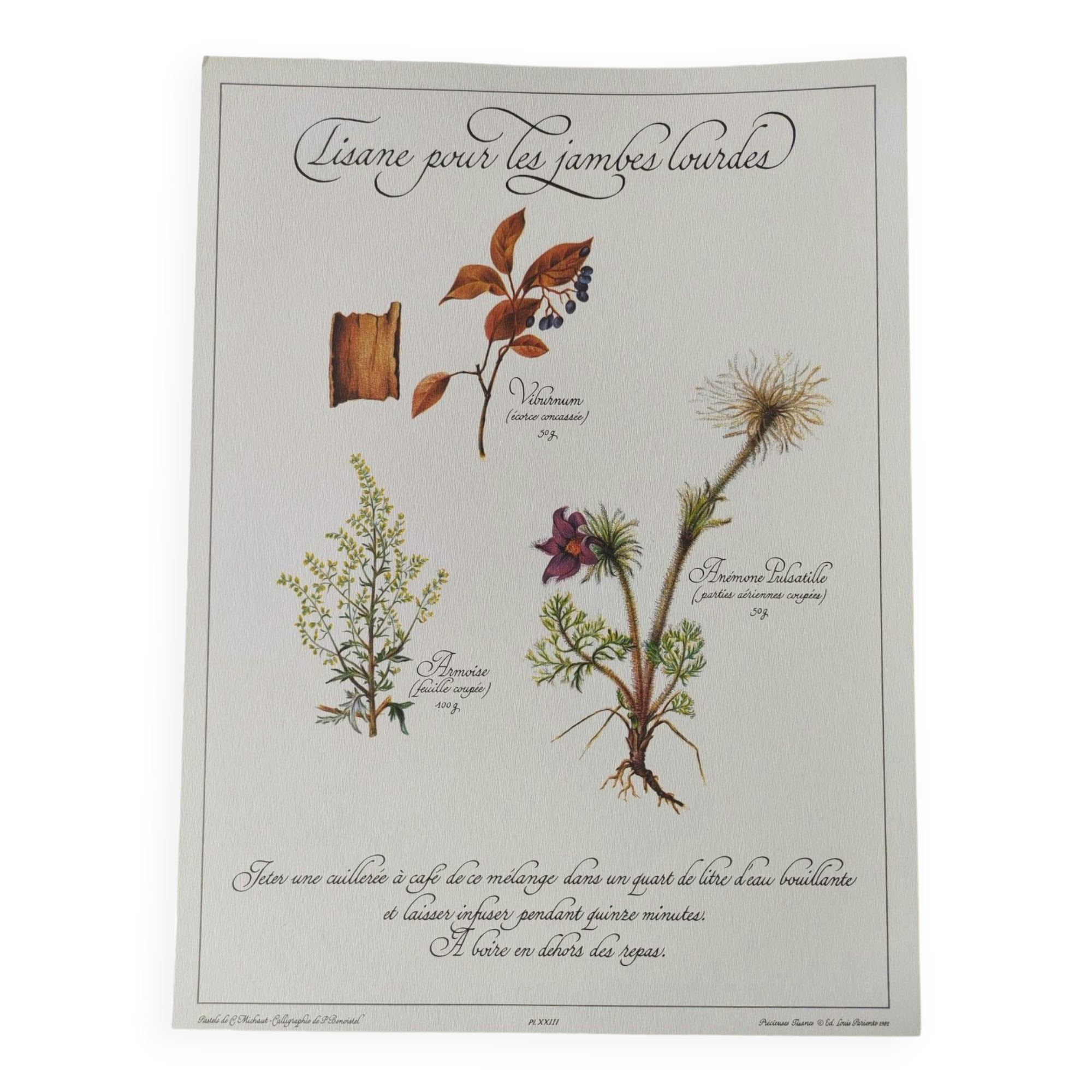 Botanical engraving -Herbal tea for heavy legs- Illustration of medicinal plants and herbs