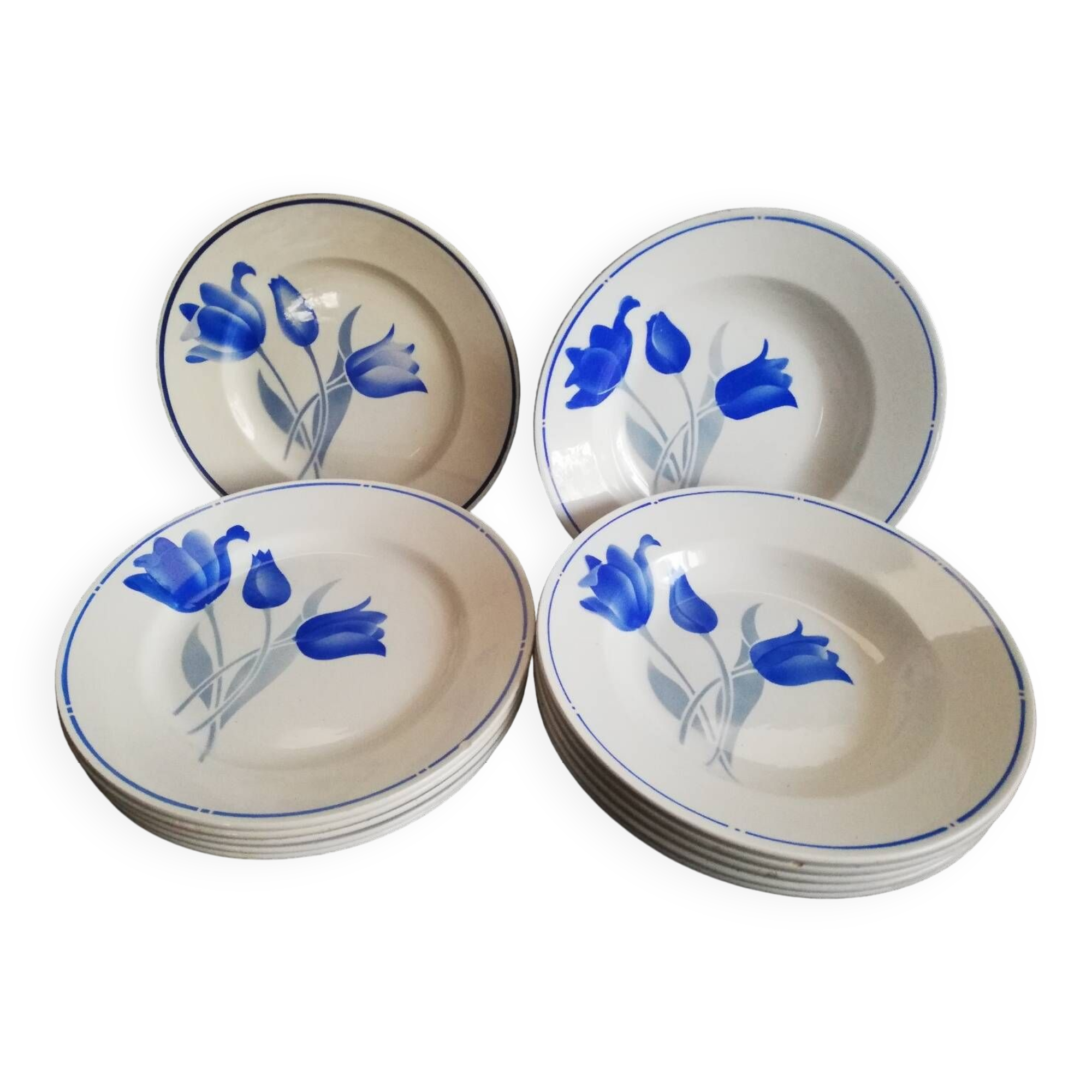 Lot 6 flat plates, 6 hollow Didier MDL