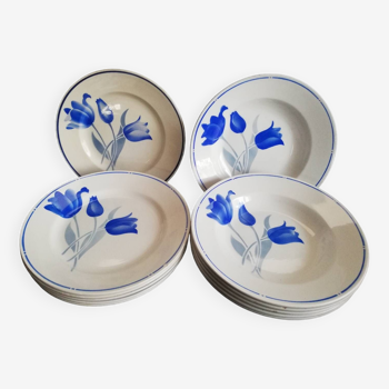 Lot 6 assiettes plates, 6 creusrs Didier MDL