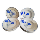 Lot 6 assiettes plates, 6 creusrs Didier MDL
