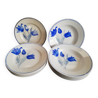 Lot 6 assiettes plates, 6 creusrs Didier MDL