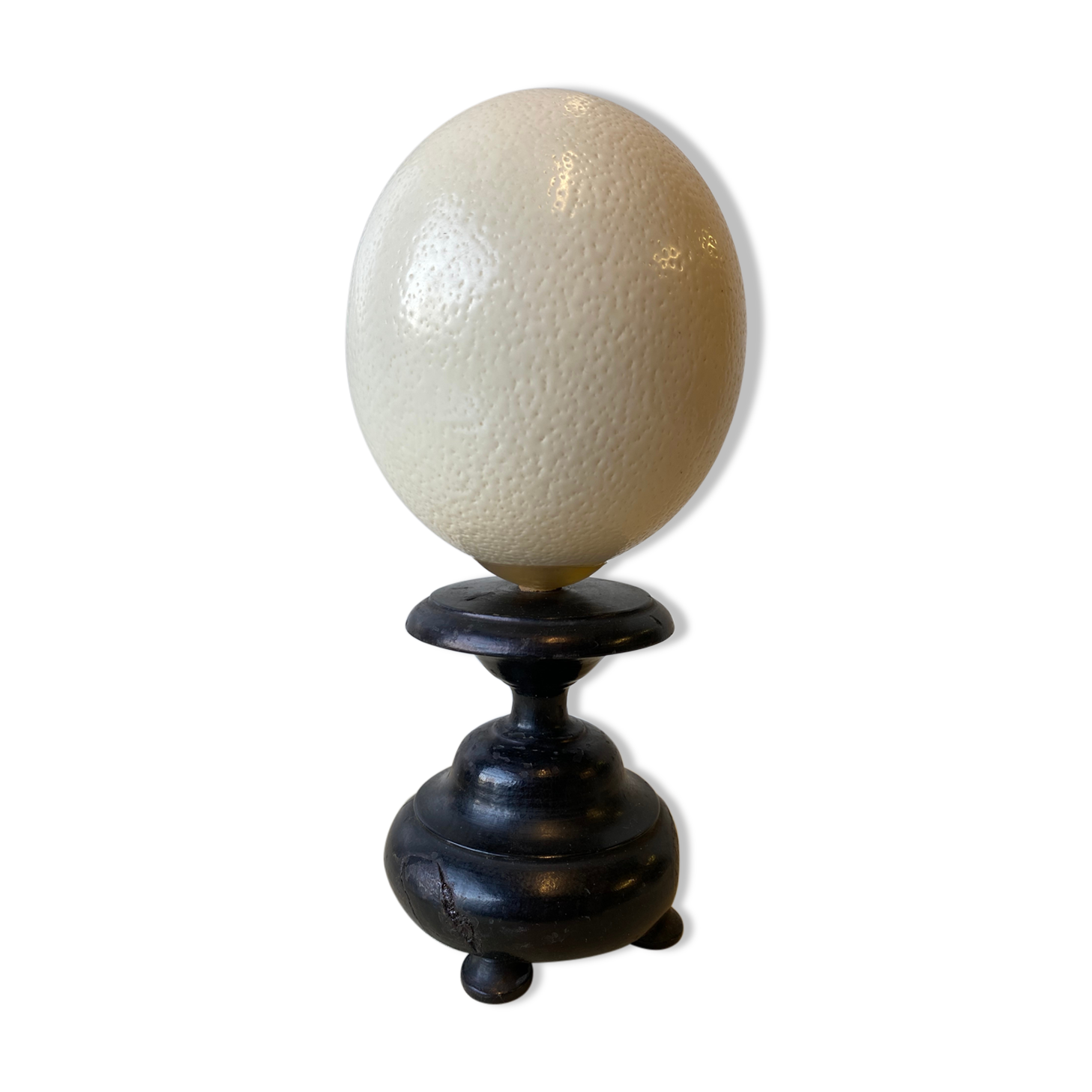 Ostrich egg on blackened wooden base