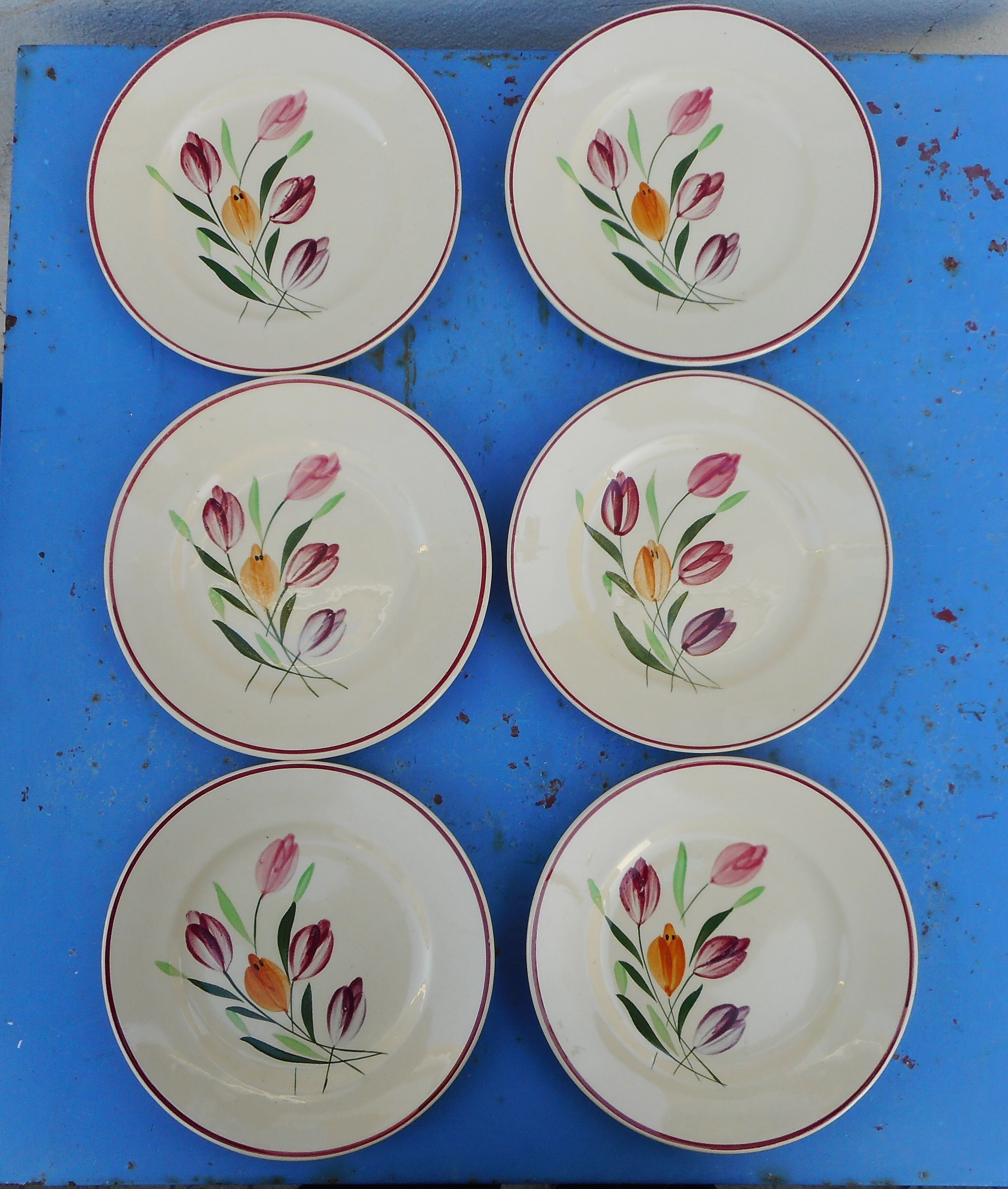 Lot of six plates decorated Tulips "Longchamp"