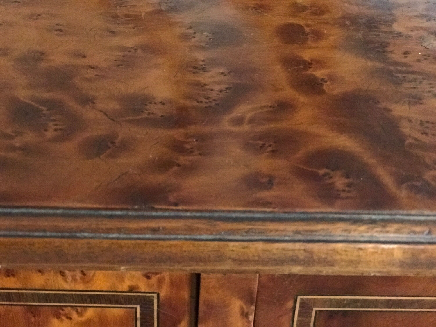 Desk in elm burl and bronze