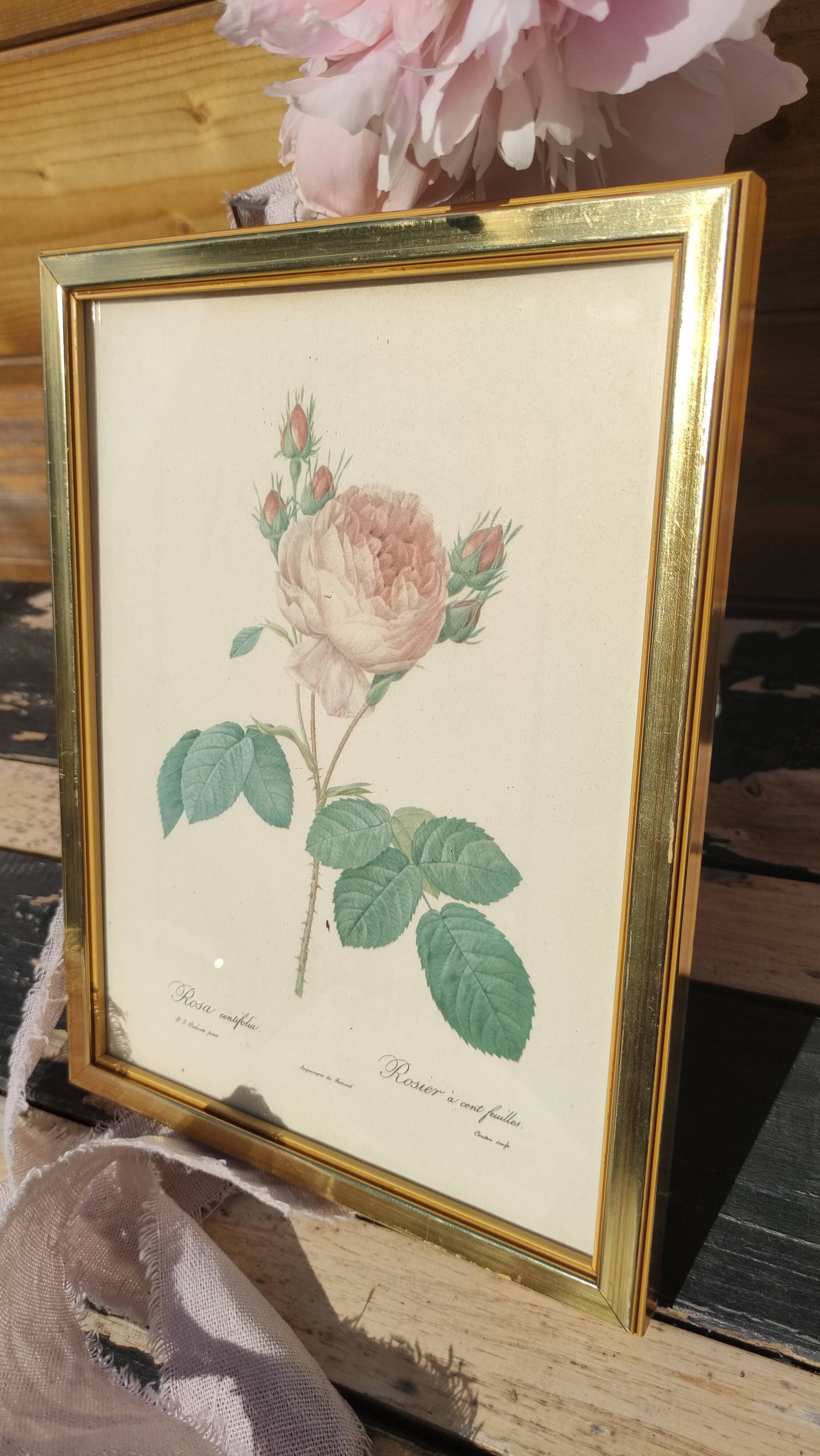 Cadre vintage de Redouté en laiton doré