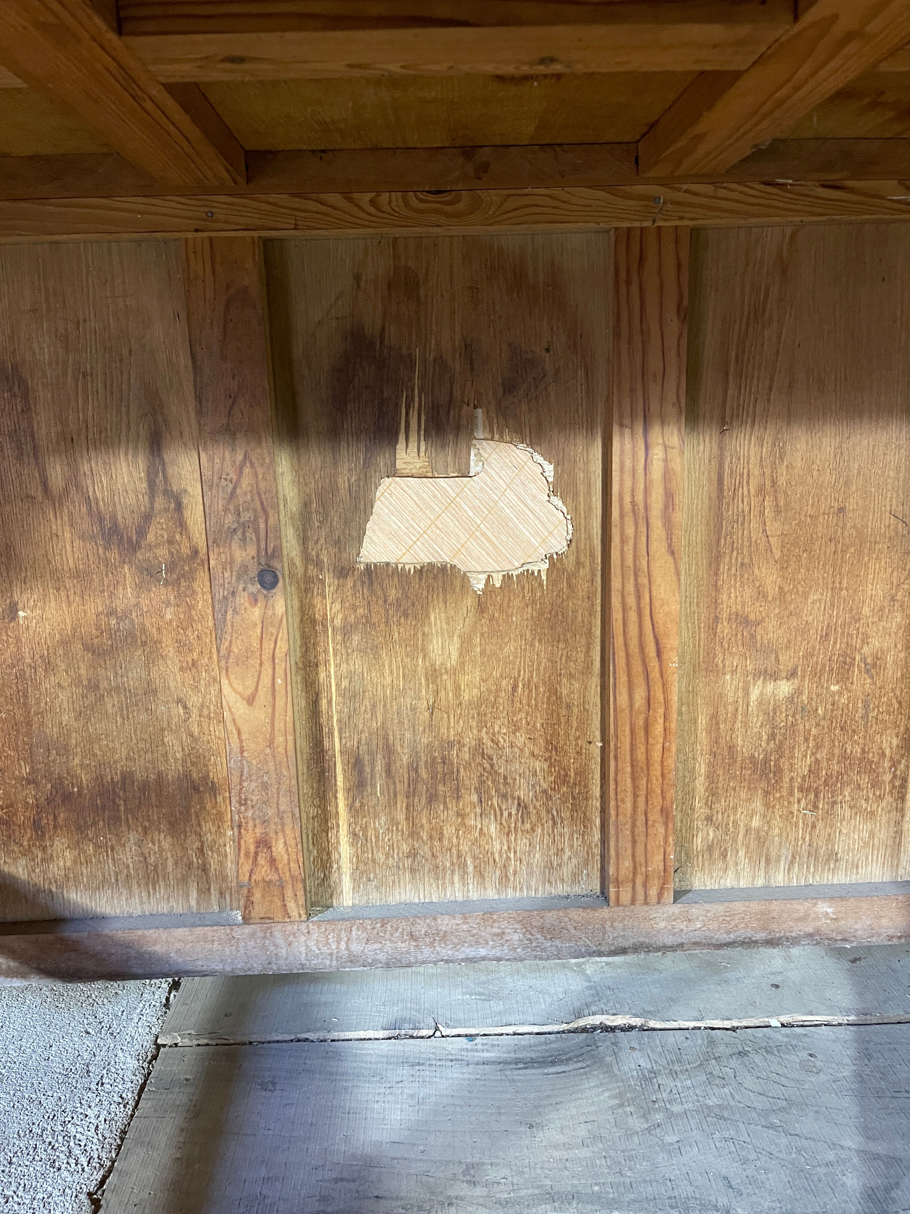 Wooden countertop