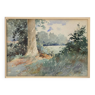 Watercolor painting A. Bories "Landscape of wooded meadow" + frame