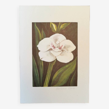 Orchid botanical board