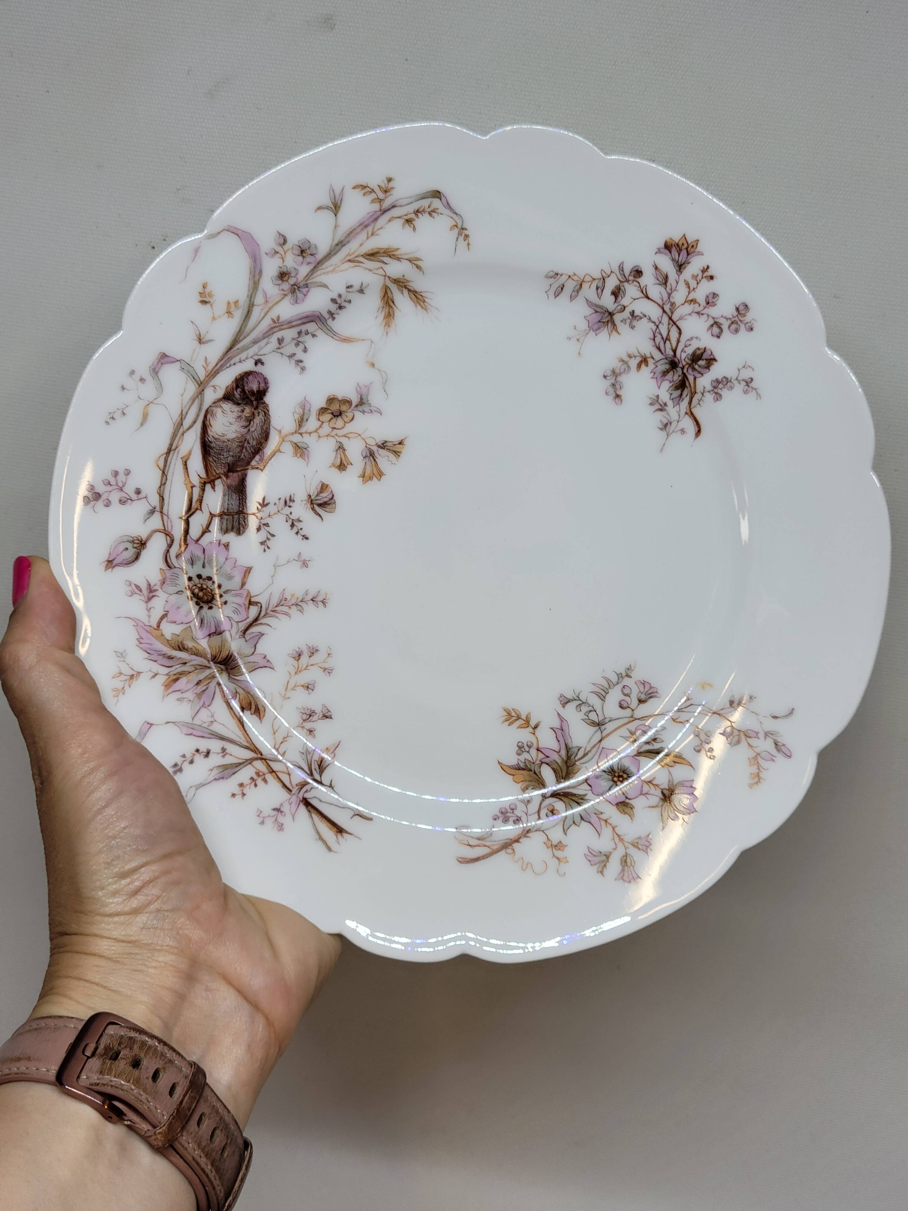 8 Superb Antique 19th Century Plates Decorated with Birds on Branches
